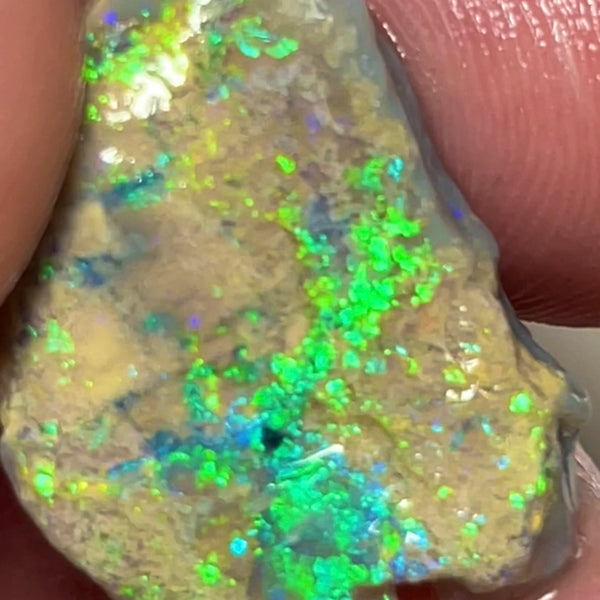 Super Bright & Colourful Vibrant rough opal of Lightning Ridge 12.75cts Gorgeous Display of Multifires 24.000 x 15.000 x 5.000 mm NSW152