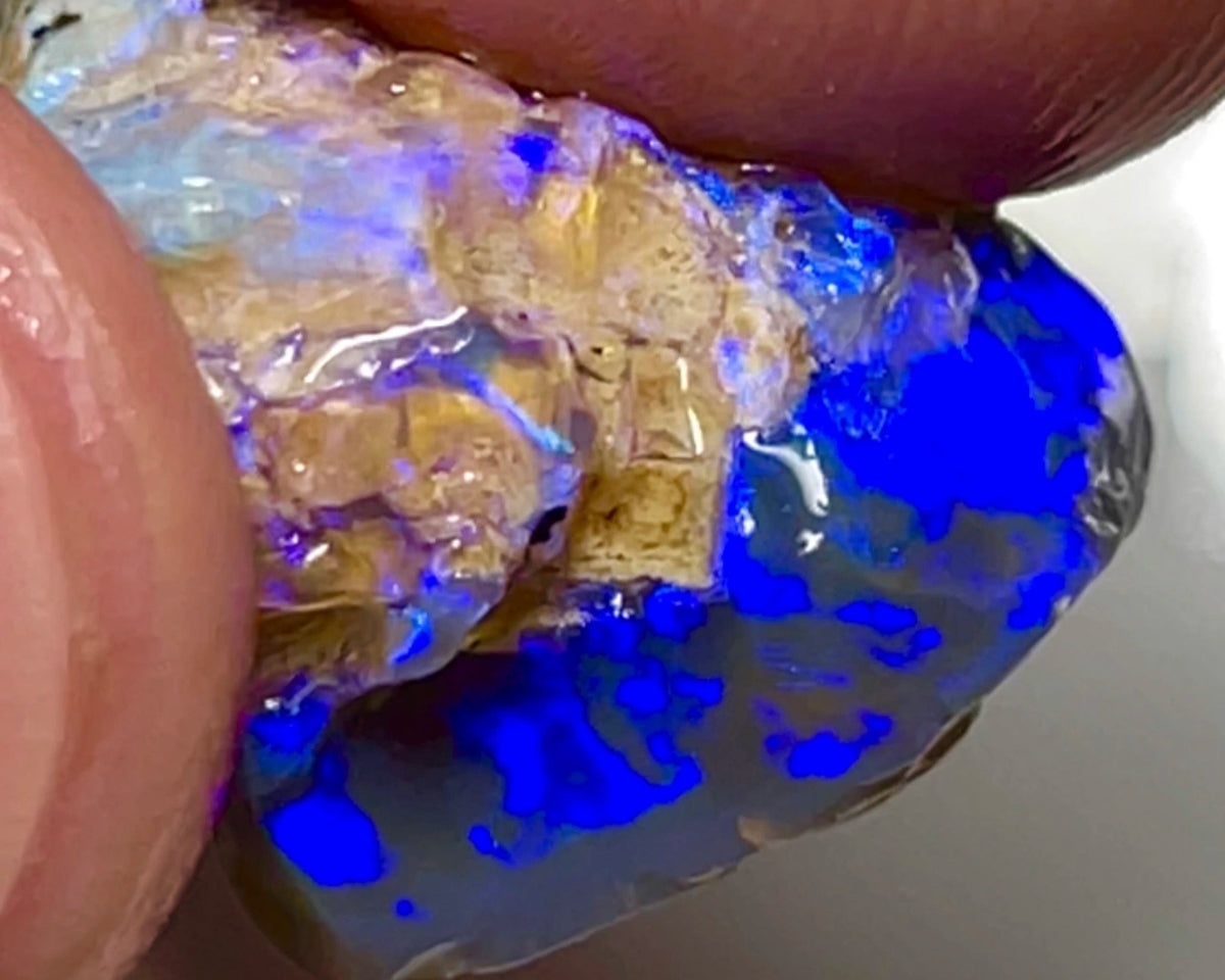 Super Bright Vivid & vibrant Blues on Black Crystal base knobby rough opal 18.75cts From Lightning Ridge Material to cut & polish a Gem  18.000 x 15.000 x 10.000 mm NSW155