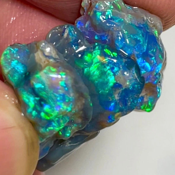 Blues & Greens on Black rough opals of Lightning Ridge 21.50cts Gorgeous Bright colours to cut 21x13x4 to 14x7x7mm NSW123