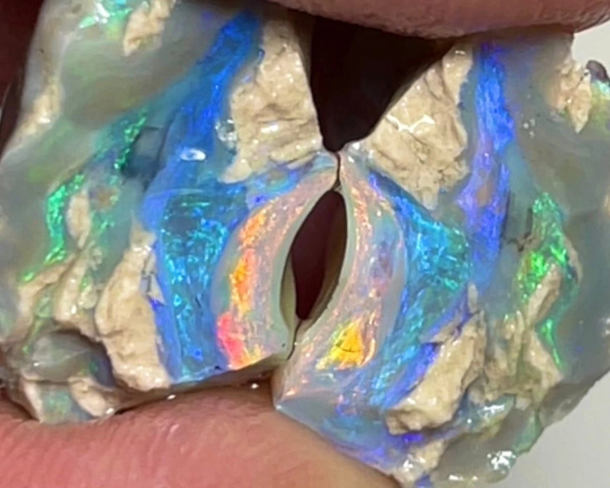Stunning Lightning Ridge Dark Base Knobby opal rough split 16.95cts Bright Orange/blue/Green Dominant fires to cut & polish 17x10x9 & 16x10x10mm NSW149