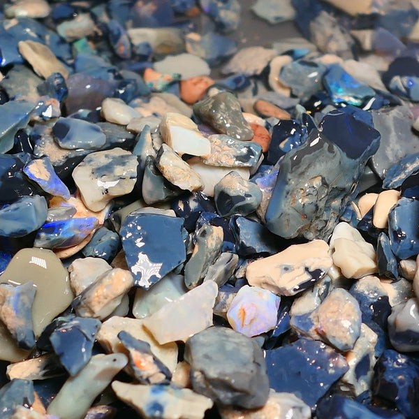 150 cts Random Scoop of Black, Semi Black & Crystal Potch & Colour from Lightning Ridge NSW Australia size range 25mm to chip size