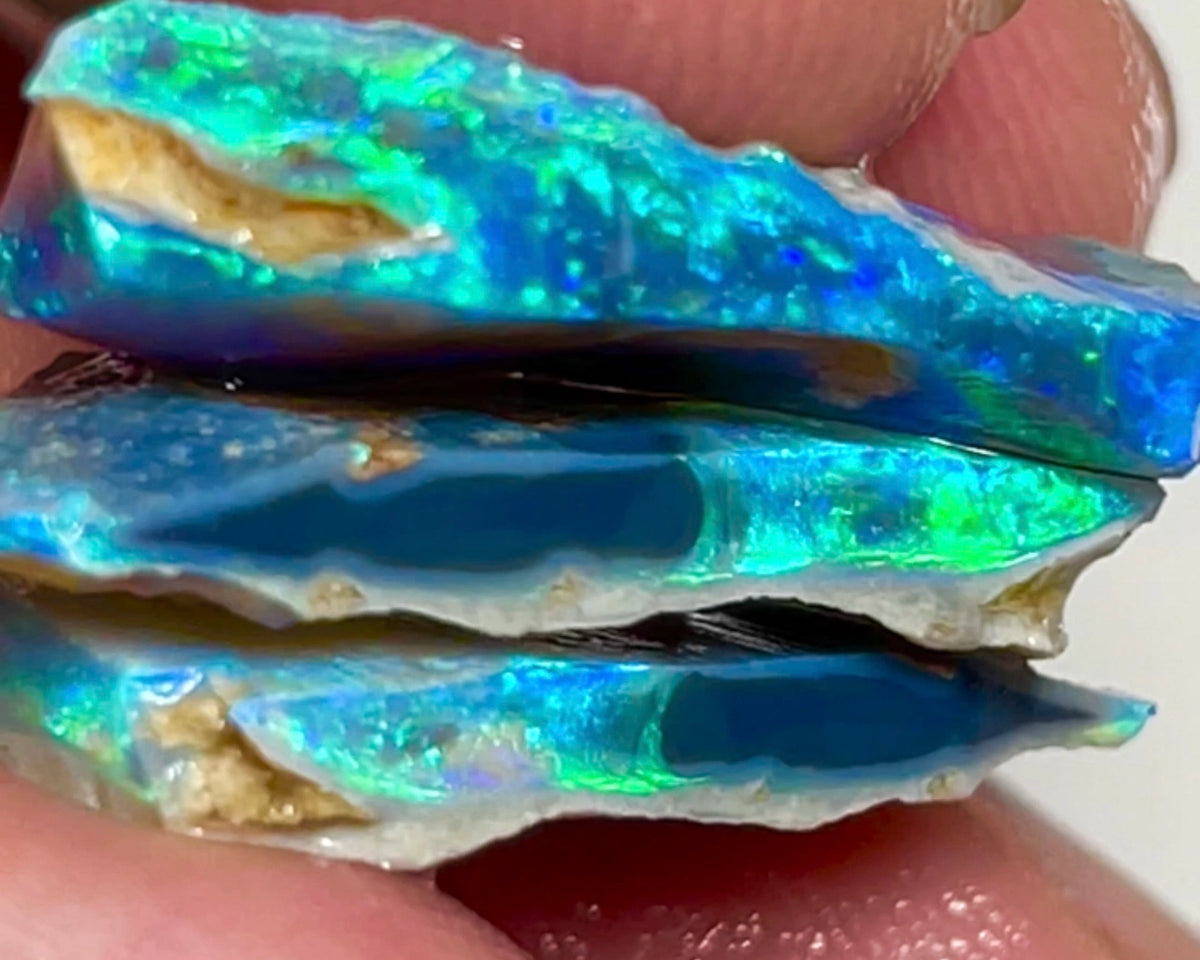 Lightning Ridge Gorgeous Seam opal rough Trio 24.75cts Gorgeous Bright Green/Blue dominant Fires to cut 24x16x4mm to 23x12x3mm NEW946