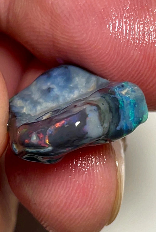 Lightning Ridge Rough Opal 11.5cts Stunning Black base Seam Gorgeous Reds Greens & Multifires in bars 20x14x5mm WAD44