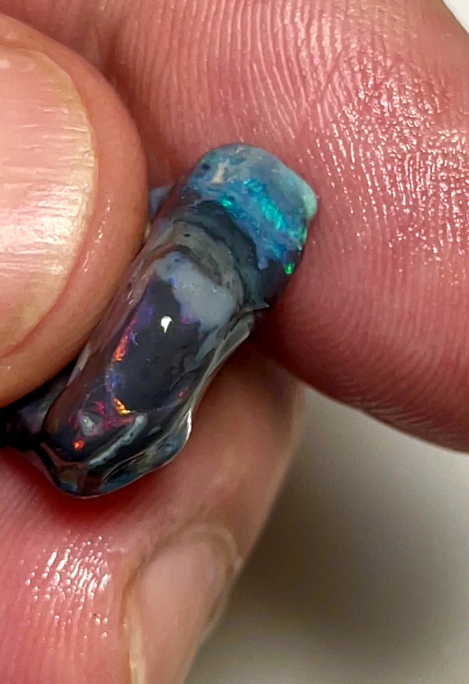 Lightning Ridge Rough Opal 11.5cts Stunning Black base Seam Gorgeous Reds Greens & Multifires in bars 20x14x5mm WAD44