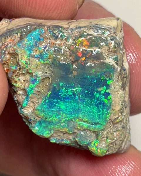Coocoran Opal formation rub/rough 45.00cts Stunning Golds/Greens/Reds & Bright Multifires to exposed face  25.000 x 24.000 x 13.000mmmm NSW073