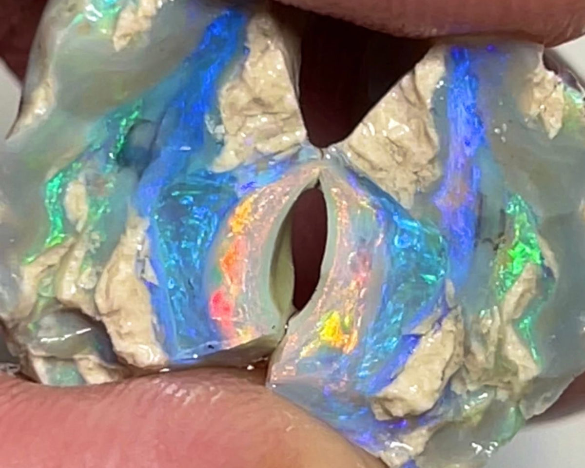 Stunning Lightning Ridge Dark Base Knobby opal rough split 16.95cts Bright Orange/blue/Green Dominant fires to cut & polish 17x10x9 & 16x10x10mm NSW149