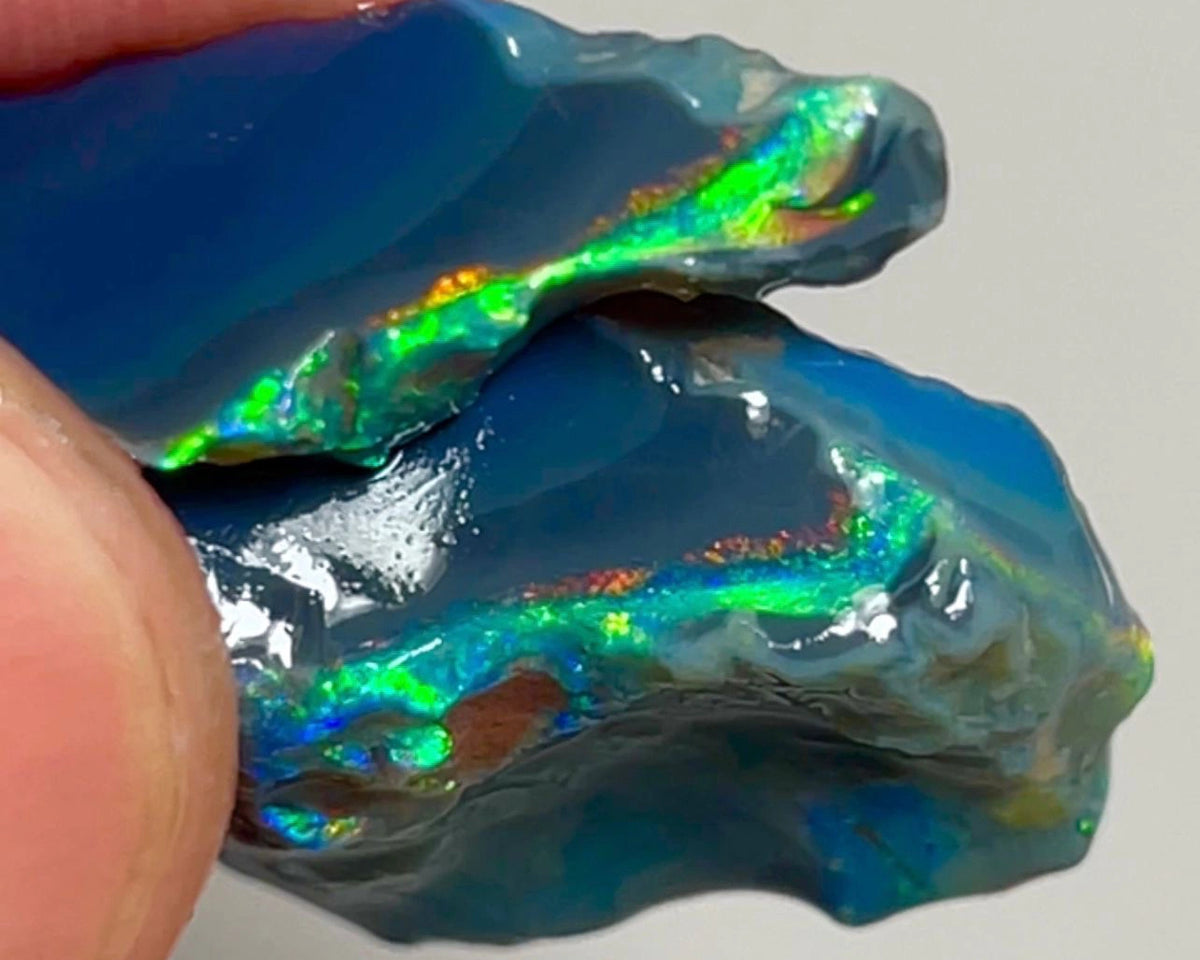 Reds & Multifires on BlackSeam rough opals of Lightning Ridge 28.50cts Gorgeous Bright colours to Chase/explore/cut 32x19x2 & 25x7x4mm NSW124