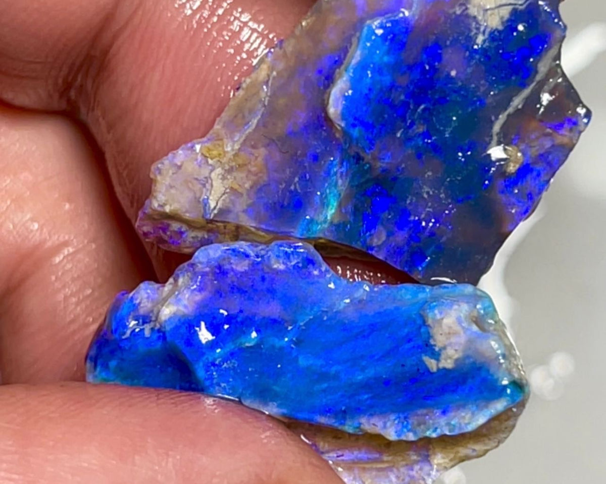 Lightning Ridge Rough Dark Crystal Seam pair 19.50cts  Nice Size Bright gorgeous Blue fires 27x18x3 & 25x10x5 mm NEW06