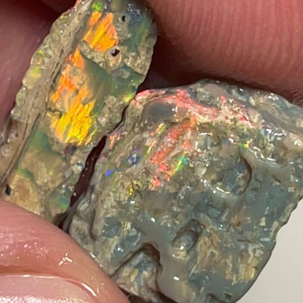 Lightning Ridge Rough Opalised Wood Fossil Rough pair 8.75cts Orange/Yellow/Red Dominant M.fires 14x13x3mm & 17x5x3mm NSW134