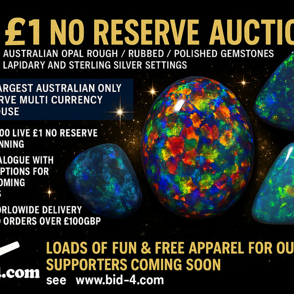 Want to Bid for Opal via £1 no reserve Auctions ? Check out these previews for www.bid4opal.com / www.bid-4.com