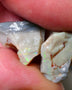 Lightning Ridge Rough Opal pair 14cts Gamble Dark Base Seam some Multifires showing 17x13x9mm & 17x15x5mm NS006