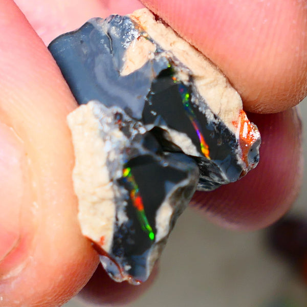 Mulga® Reds on Black Seam opal split pair 29cts Red & Multifires to cut 26x19x12mm & 14x11x9mm NSW017