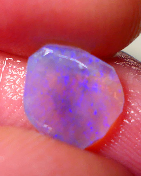 Lightning Ridge Rough / Rub Dark Crystal base Seam opal Miners Bench® 1.25cts gorgeous bright blue fires 10x8x2mm NS161