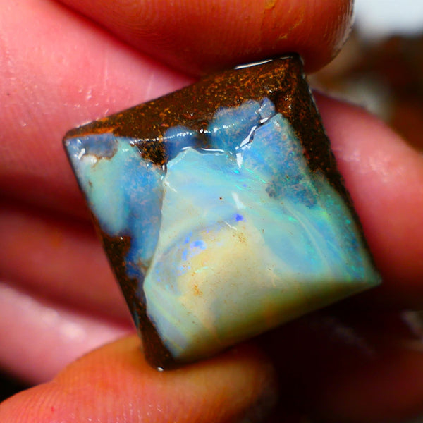 Queensland Boulder / Matrix opal 21cts rough/rub Winton Some Blue fires showing 19x19x7mm ALP004