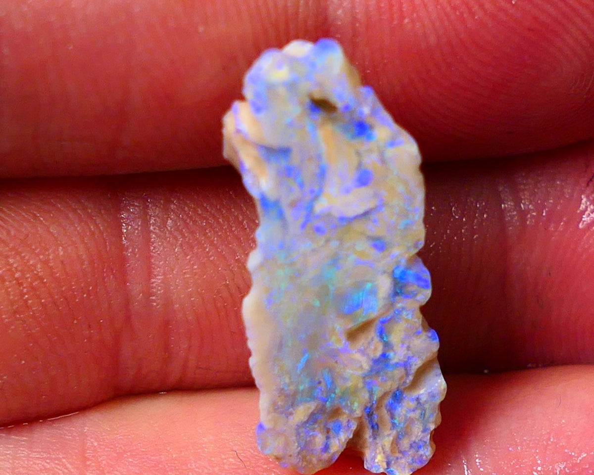 Lightning Ridge Gamble opal rough rub showing nice bright blue colours 26x10x7mm ALP128