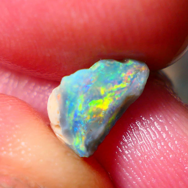 Lightning Ridge Small Gemmy Gamble opal rough 1.65cts showing Reds & bright Multifires 10x6x5mm ALP133