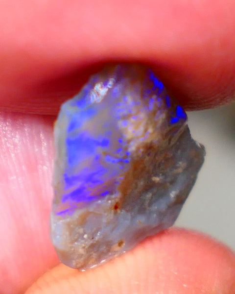 Lightning Ridge Rough rub Opal 3.15cts Dark Base blue dominant fires to cut and polish 15x13x3mm NSW132
