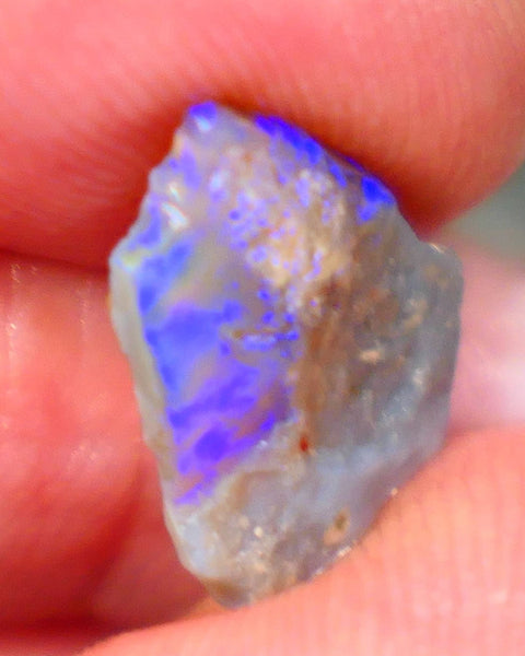 Lightning Ridge Rough rub Opal 3.15cts Dark Base blue dominant fires to cut and polish 15x13x3mm NSW132