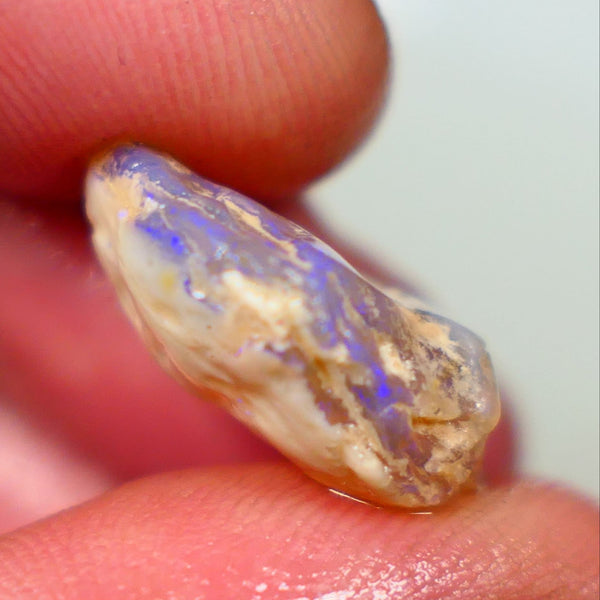 Lightning Ridge Rough Opal 11.25cts Dark Base Crystal Gamble Knobby blue dominant fires with flashes of yellows 18x14x7mm NSW131
