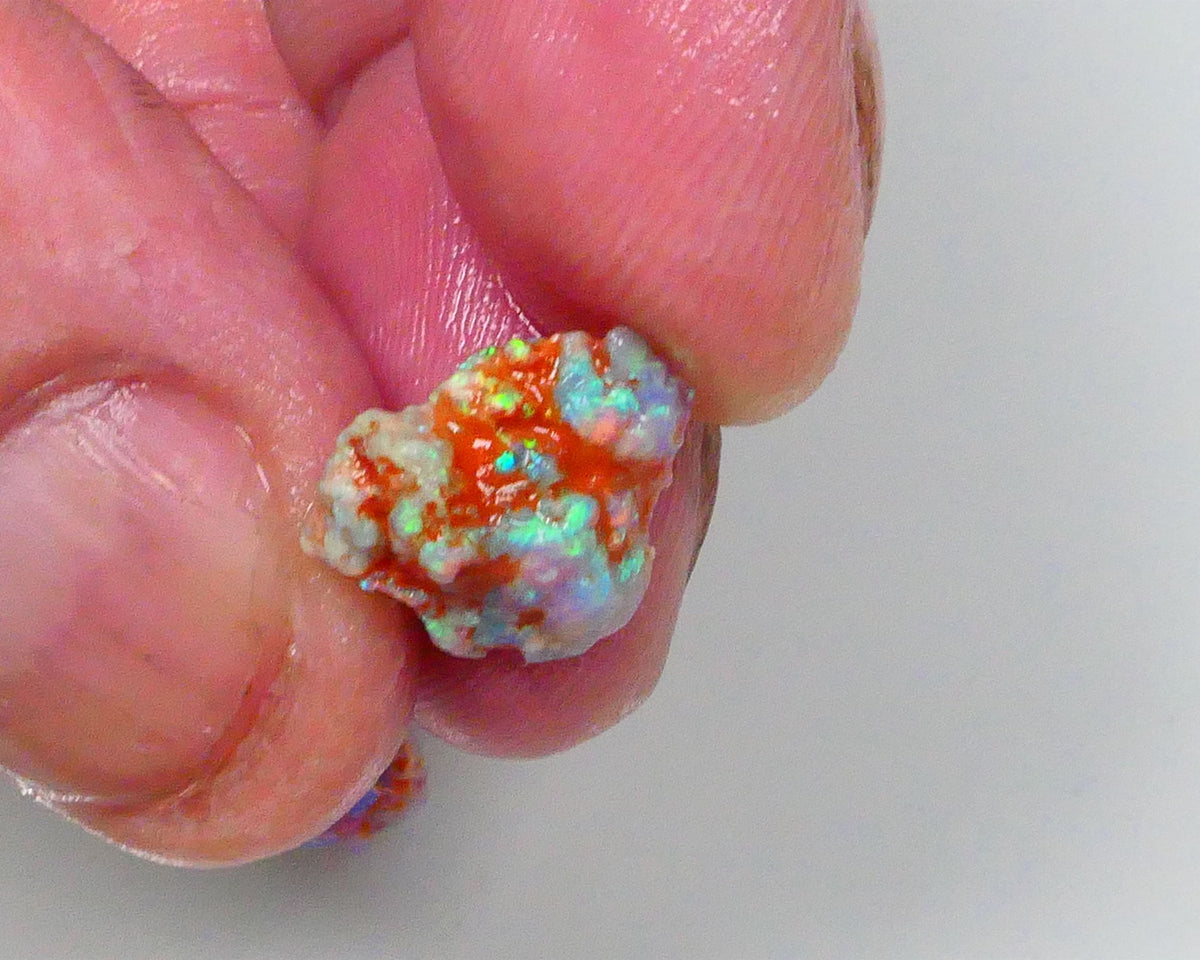 New Weekly Deal Details to come ALP512