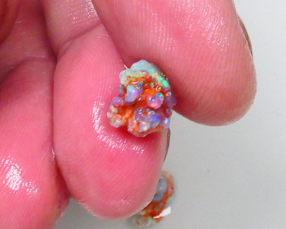 New Weekly Deal Details to come ALP512