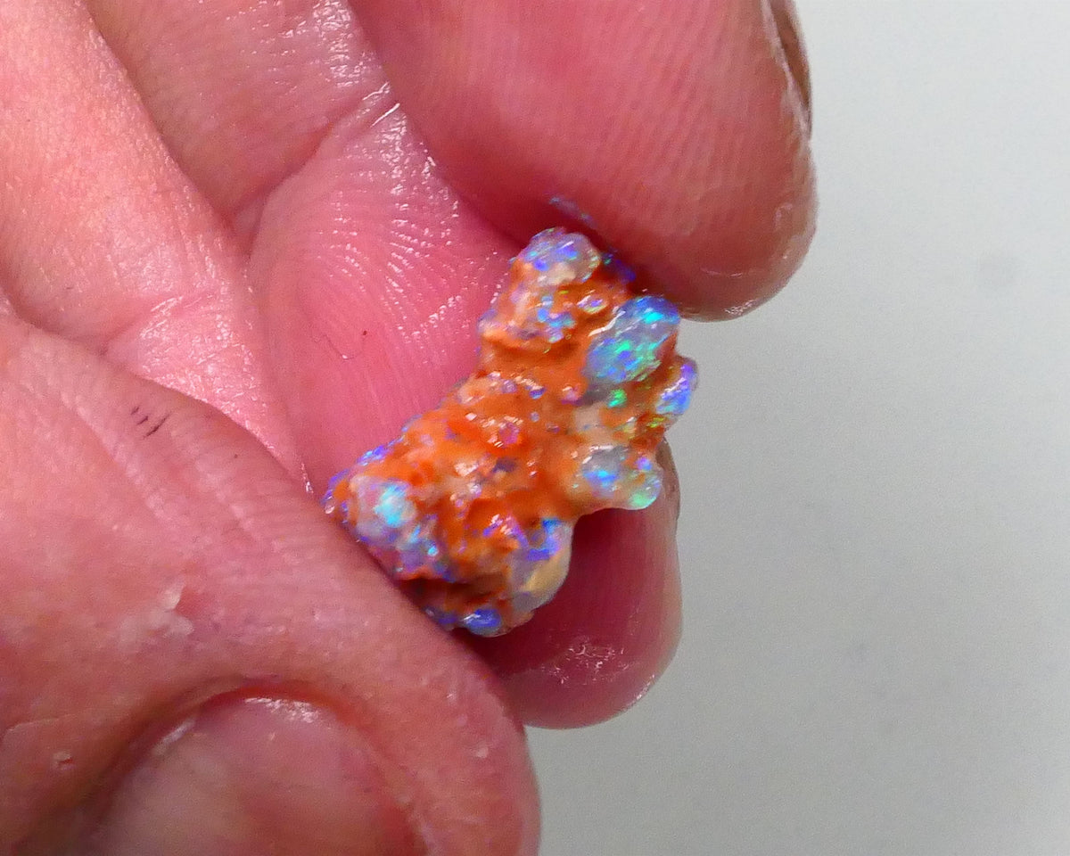 New Weekly Deal Details to come ALP507