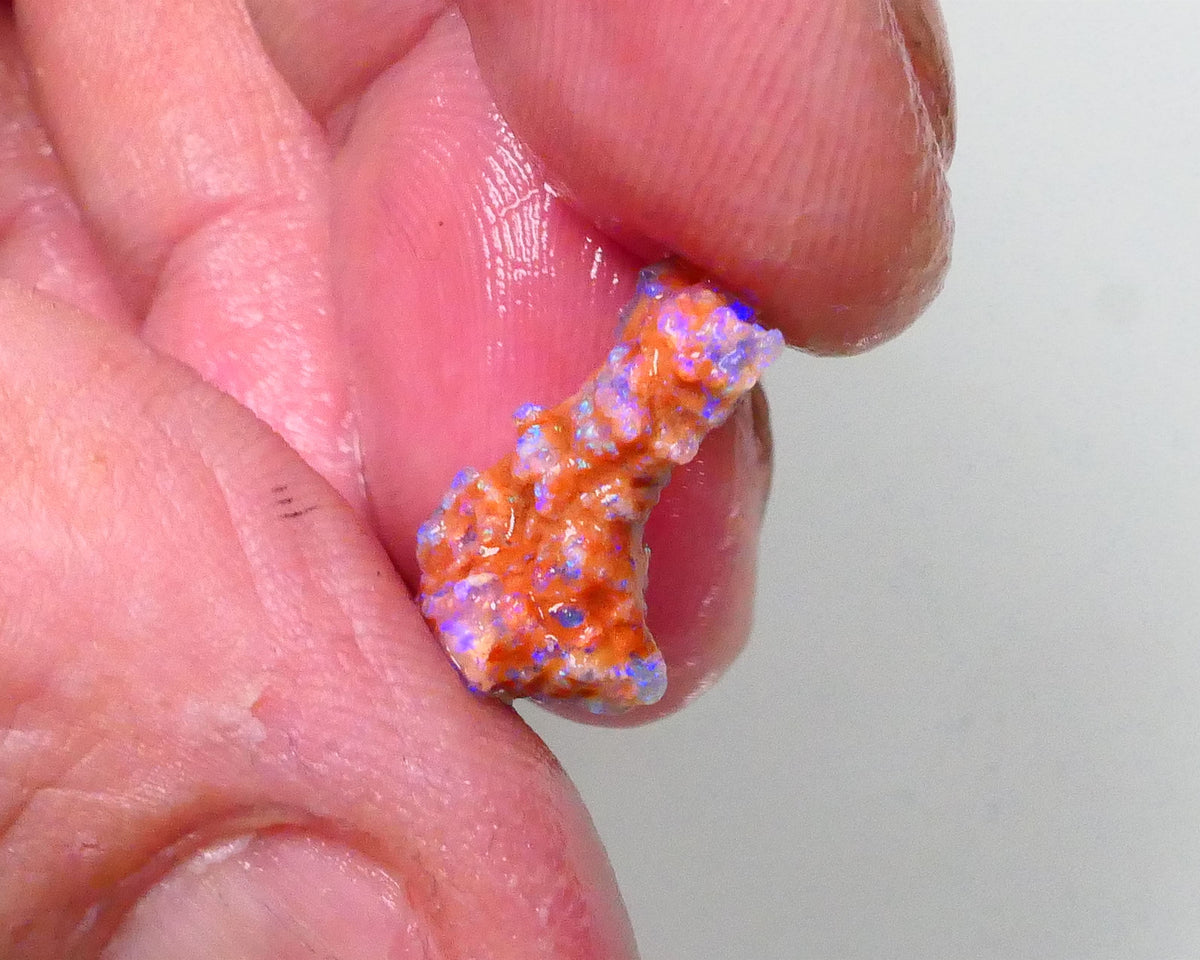 New Weekly Deal Details to come ALP507