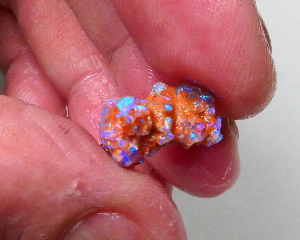 New Weekly Deal Details to come ALP507