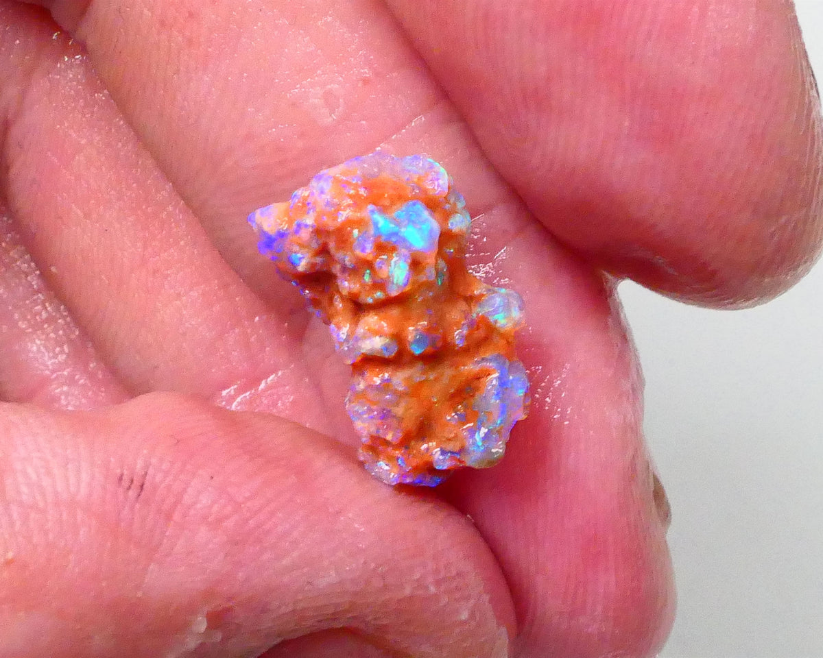 New Weekly Deal Details to come ALP507