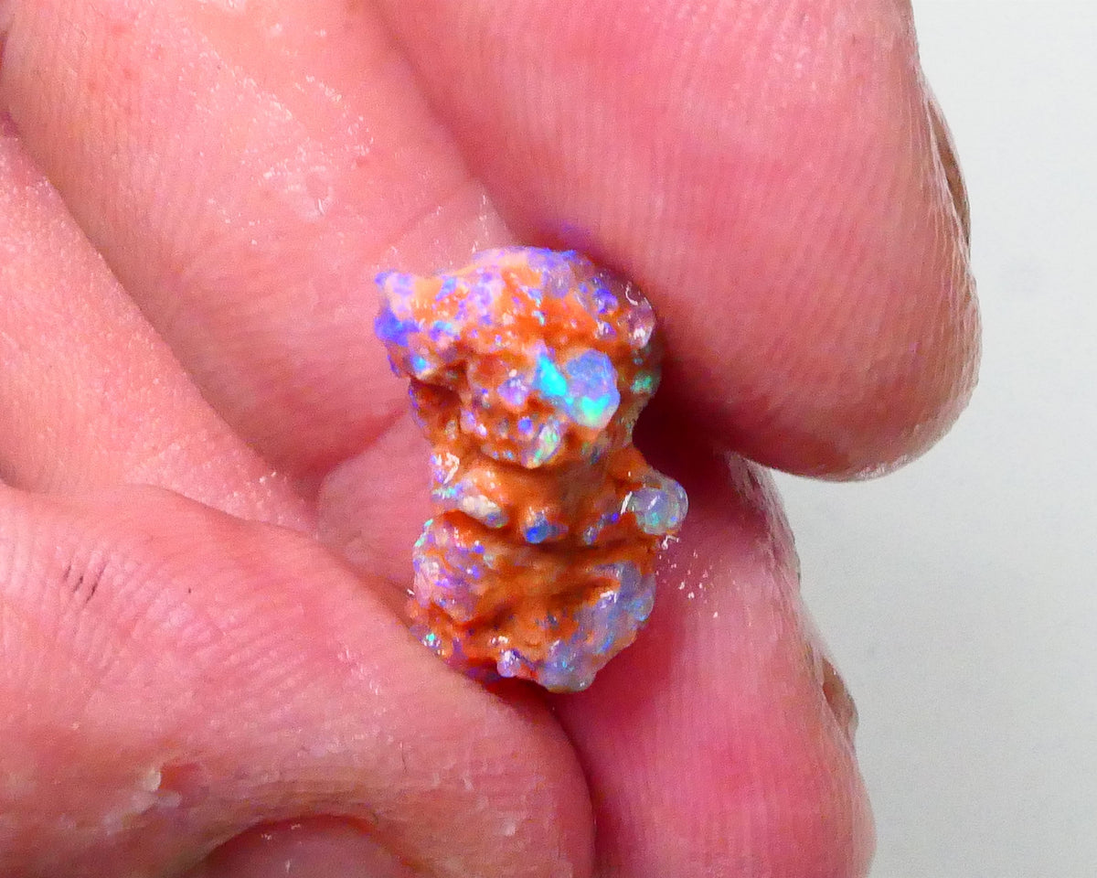 New Weekly Deal Details to come ALP507