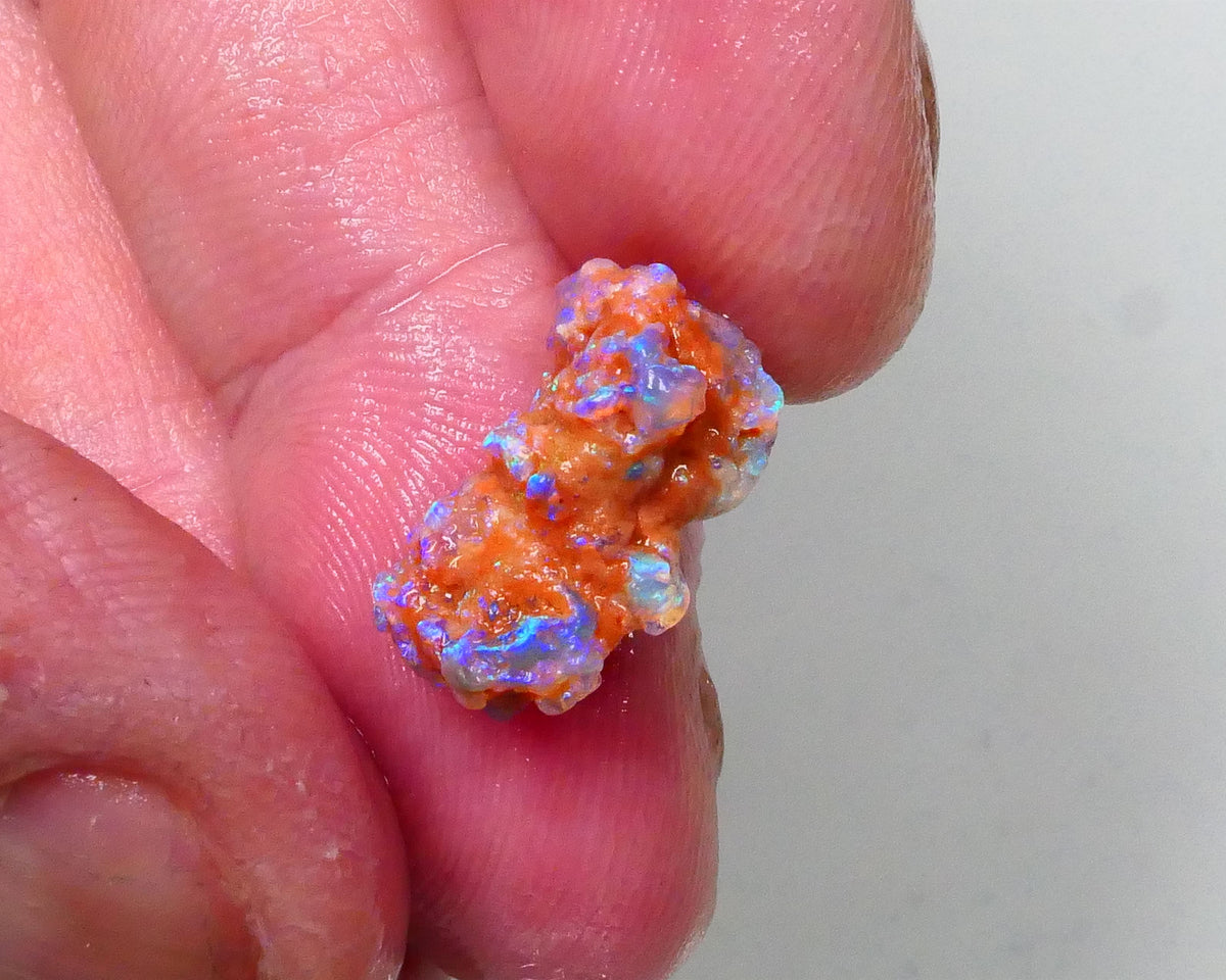 New Weekly Deal Details to come ALP507