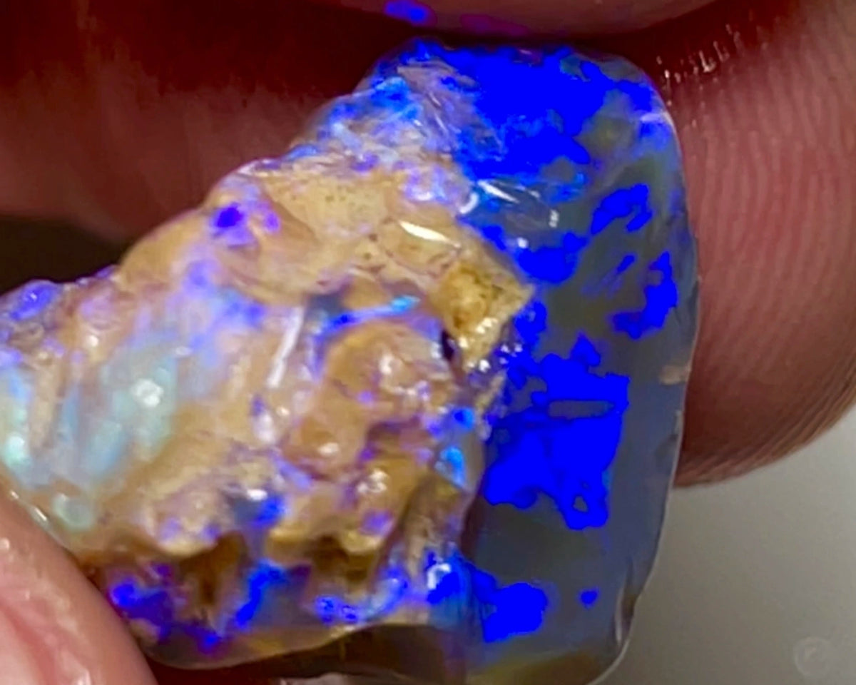 Super Bright Vivid & vibrant Blues on Black Crystal base knobby rough opal 18.75cts From Lightning Ridge Material to cut & polish a Gem  18.000 x 15.000 x 10.000 mm NSW155