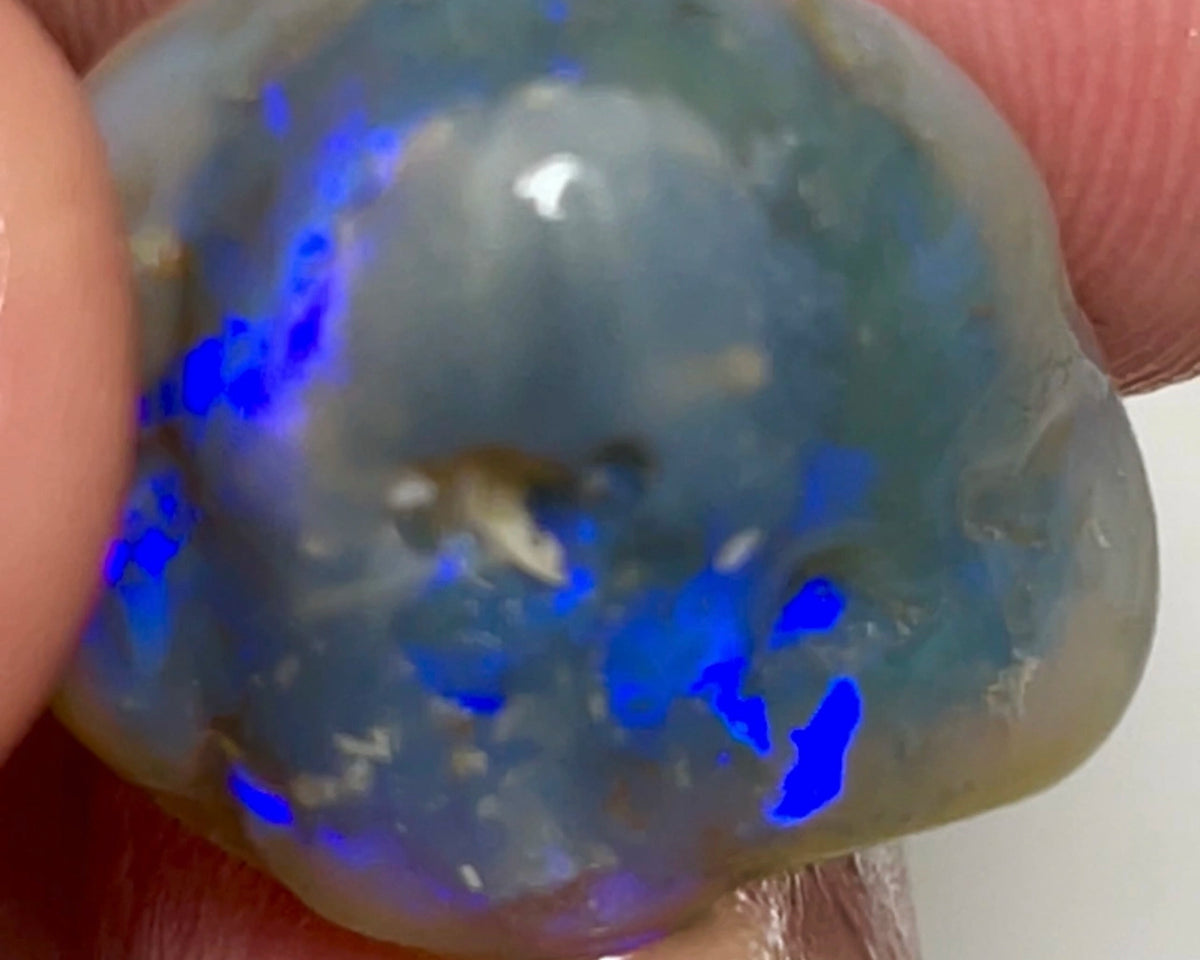 Lightning Ridge Rough Untouched Hand picked to cut & explore Semi Black knobby opal 25.00cts Bright Blue fires showing all around 20x18x12mm NSW135