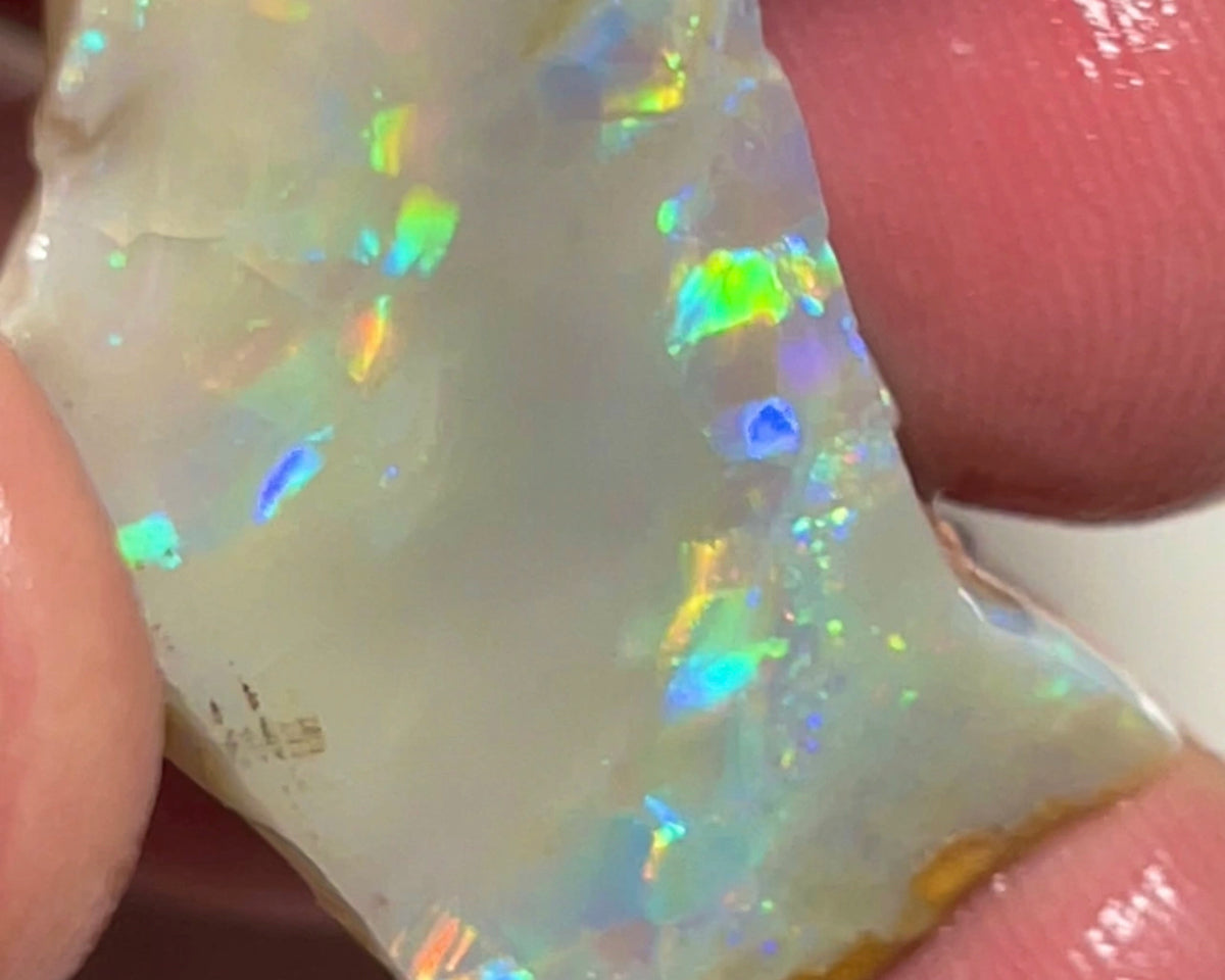 Lightning Ridge Big Sized Seam opal rub/rough 31.75cts Loaded with Bright Multicolours Inc Oranges & Yellows 32.00x 17.00x 6.00mm NEW948