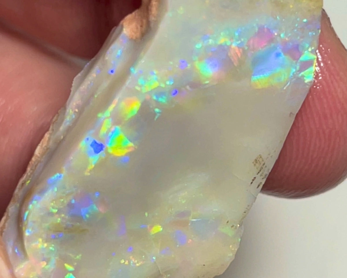 Lightning Ridge Big Sized Seam opal rub/rough 31.75cts Loaded with Bright Multicolours Inc Oranges & Yellows 32.00x 17.00x 6.00mm NEW948