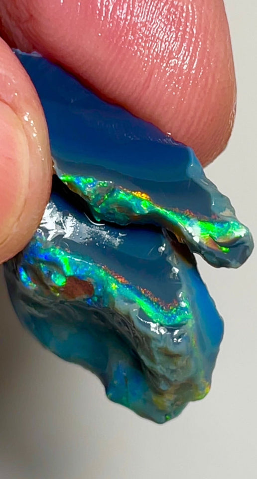 Reds & Multifires on BlackSeam rough opals of Lightning Ridge 28.50cts Gorgeous Bright colours to Chase/explore/cut 32x19x2 & 25x7x4mm NSW124