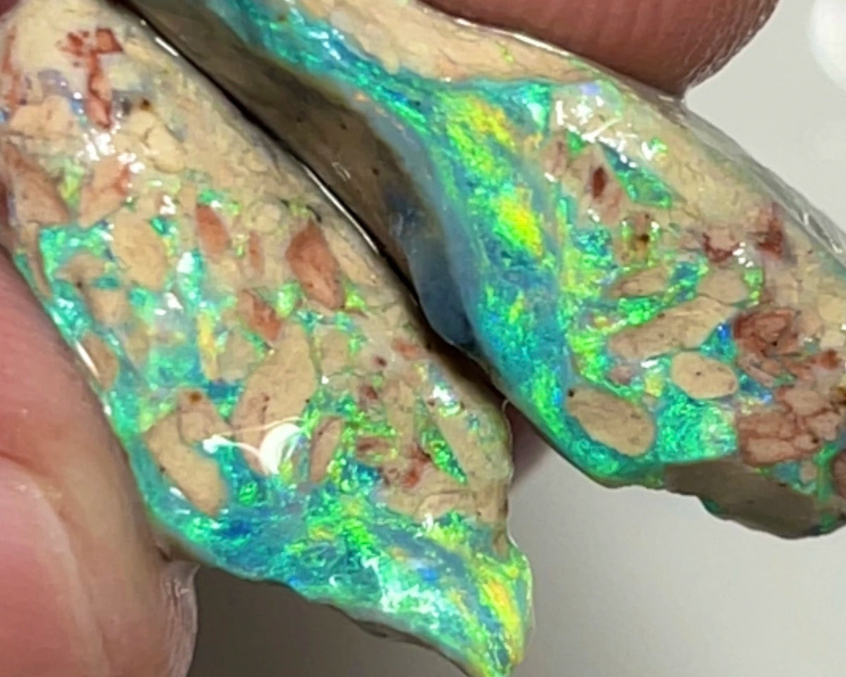 Stunning Pair of Coocoran rough opal formations 24.50cts Stunning Bright Yellow & Greens dominant fires 25x12x8 & 20x14x7mm  NSW157