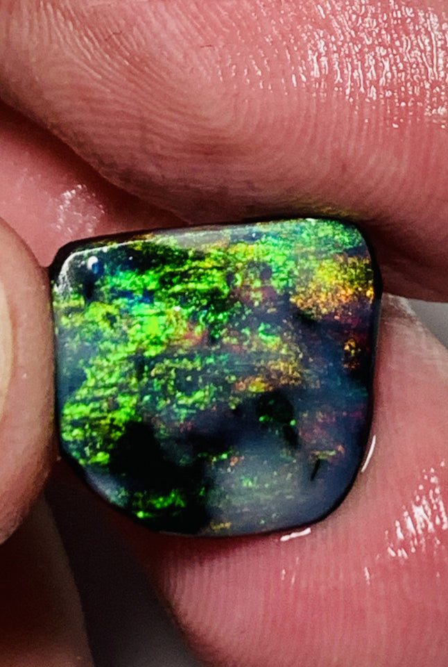 Lightning Ridge Black Opal Rough Rub 3.7cts Mulga® Field of Grawin Super Bright Yellow Orange & Red on Black 14x13x3mm WSJ49