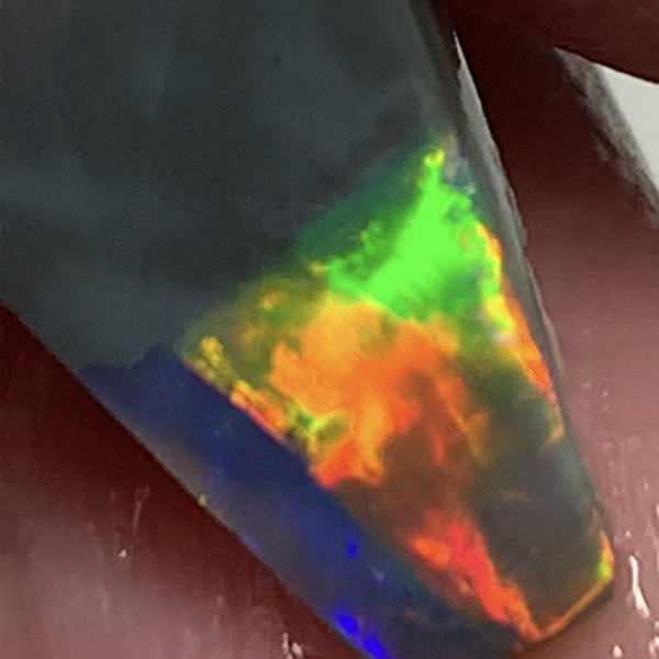 Australian Opal Gem Grade Single semi Black 3.4cts Rub/Rough Super bright Reds & Rainbow of Multifires Broad flash / Flagstone pattern 16x8x3mm WSJ40