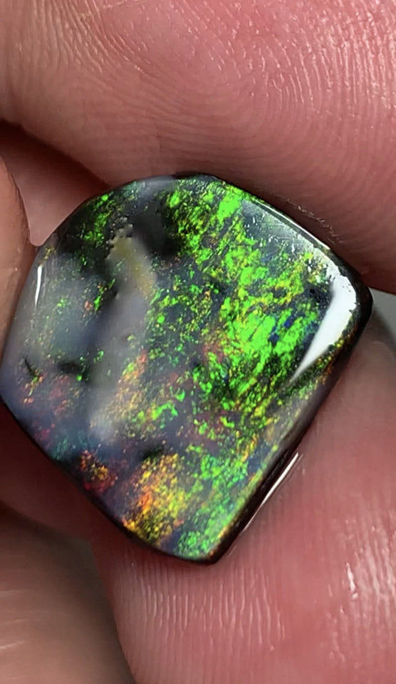 Lightning Ridge Black Opal Rough Rub 3.7cts Mulga® Field of Grawin Super Bright Yellow Orange & Red on Black 14x13x3mm WSJ49