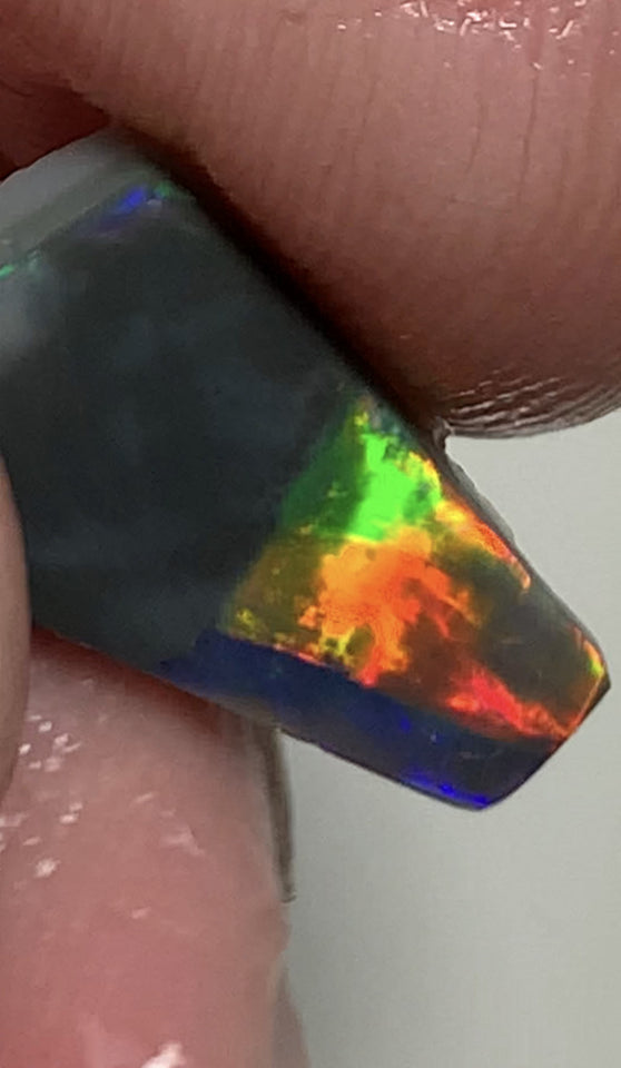 Australian Opal Gem Grade Single semi Black 3.4cts Rub/Rough Super bright Reds & Rainbow of Multifires Broad flash / Flagstone pattern 16x8x3mm WSJ40