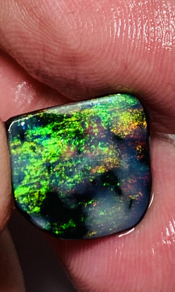 Lightning Ridge Black Opal Rough Rub 3.7cts Mulga® Field of Grawin Super Bright Yellow Orange & Red on Black 14x13x3mm WSJ49