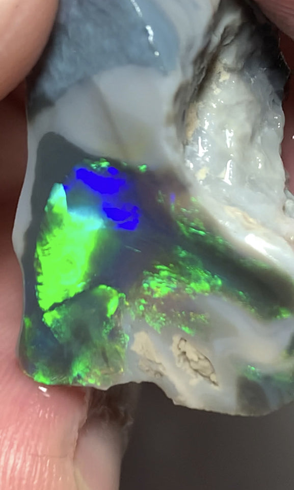 Australian Lightning Ridge Opal Gem Grade Single Semi Black Rub 29cts Rub/Rough Super Saturated Vivid Multifires & stunning pattern mix 27x16x15mm WSQ40