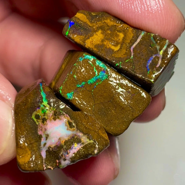 Bling Bling Boulder opal 126cts rough Nice Sized Exotic Gem Winton Bright & Gorgeous Reds &  Multifires 25x17x11mm 22x11x9mm NSA011