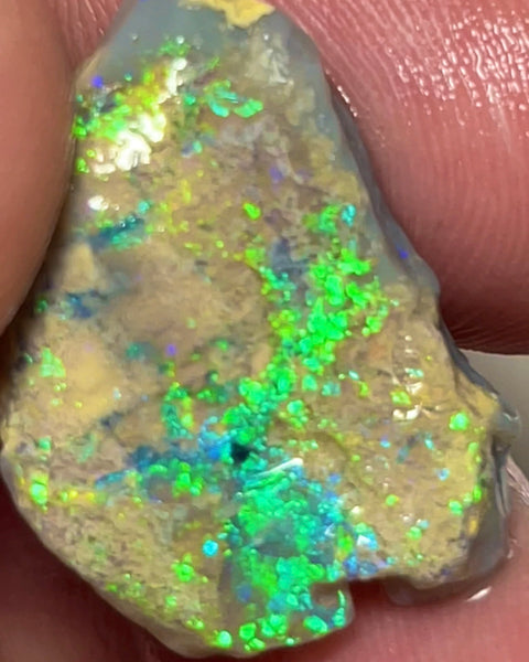 Super Bright & Colourful Vibrant rough opal of Lightning Ridge 12.75cts Gorgeous Display of Multifires  24.000 x 15.000 x 5.000 mm NSW152