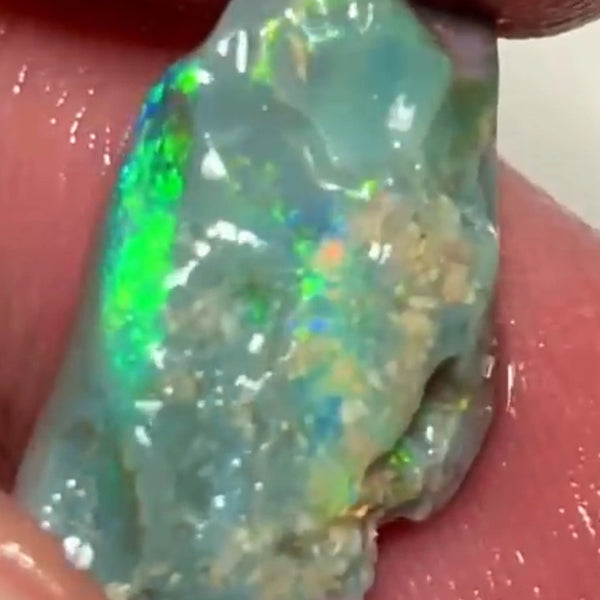 Bright Multicolours on this Dark base knobby opal rough 7.95cts Lightning Ridge Material to cut 20x12x4mm NSW193