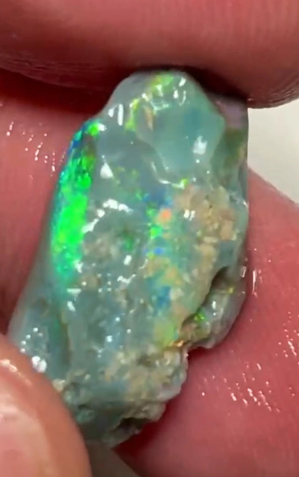 Bright Multicolours on this Dark base knobby opal rough 7.95cts Lightning Ridge Material to cut 20x12x4mm NSW193