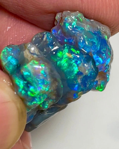Blues & Greens on Black rough opals of Lightning Ridge 21.50cts Gorgeous Bright colours to cut 21x13x4 to 14x7x7mm NSW123