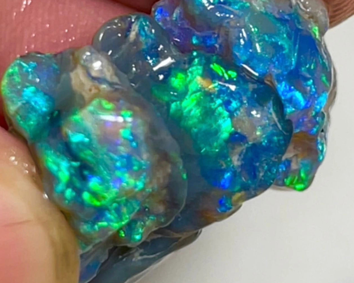 Blues & Greens on Black rough opals of Lightning Ridge 21.50cts Gorgeous Bright colours to cut 21x13x4 to 14x7x7mm NSW123