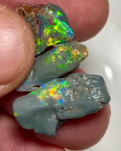 Allawah Knobby opal rough Trio to cut 12.00cts Gorgeous Super Bright Yellow/Green/Orange dominant fires to cut 19x10x4mmto 19x7x4 mm NEW953